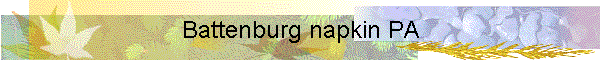 Battenburg napkin PA